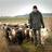 shepherdCaps's profile image