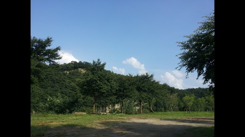 권리당원/문파