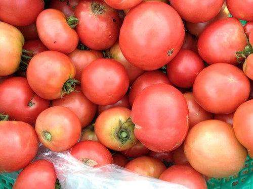 東京町田在住「まつど農園」のTwitterです。 露地有機野菜を作っております。農業で食べて行くのは結構大変です。が、楽しいし、やりがいがあるので、今は我慢のときです。 趣味は、釣り、ハイキングなどです。