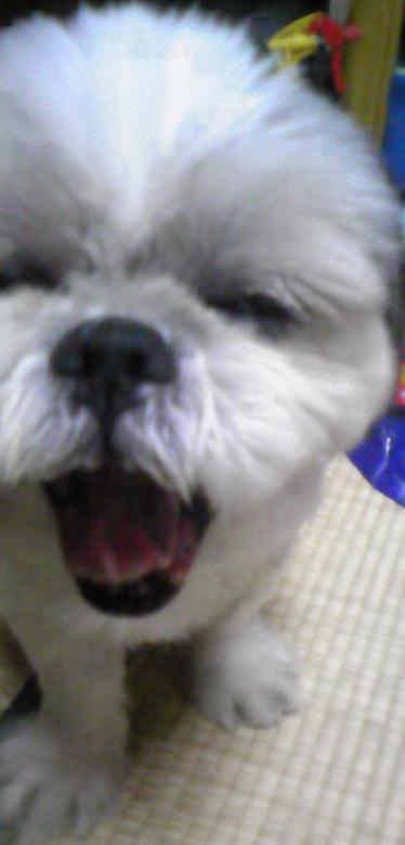 Ishibashits 有名人なのか 超有名 ワークタンク 関戸さんとは Naver まとめ Http T Co Ieyxkzg93x