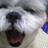 ishibashits's profile image