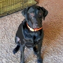 jon mckay - @mckay_jon - Twitter