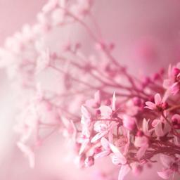 Lukla13's profile picture. 