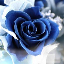 リフォロー100％お約束します   I will follow you back 100% if you follow me.   　#TFBJP #ツイ助  #相互フォロー #リフォロー #sougofollow  blog http://t.co/EQu0eHyRS0