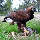 EdwardEagle14 - @EdwardEagle14 - Twitter