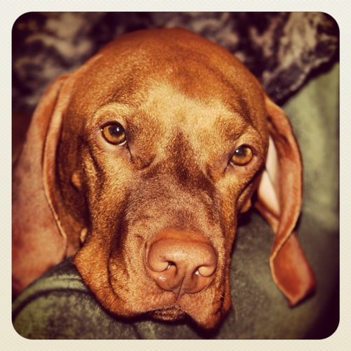 coggs09's profile picture. Bee Happy 🐝