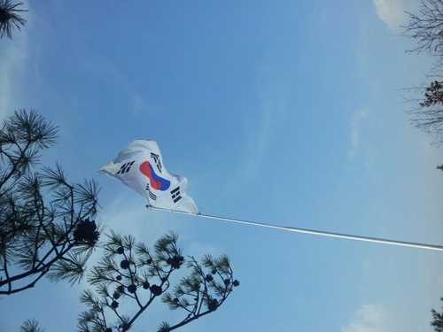 seoyjkorea's profile picture. 