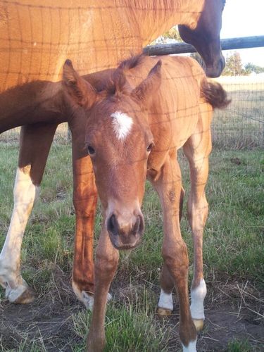 farrier73's profile picture. 