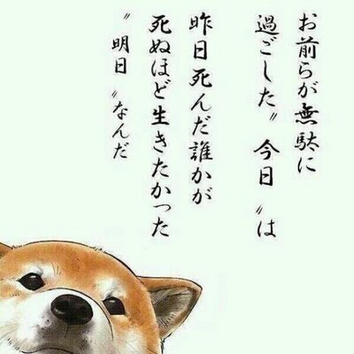 名言bot على تويتر 人間のつくった房ですから 人間がやぶれぬはずがありませんよ 白鳥由栄