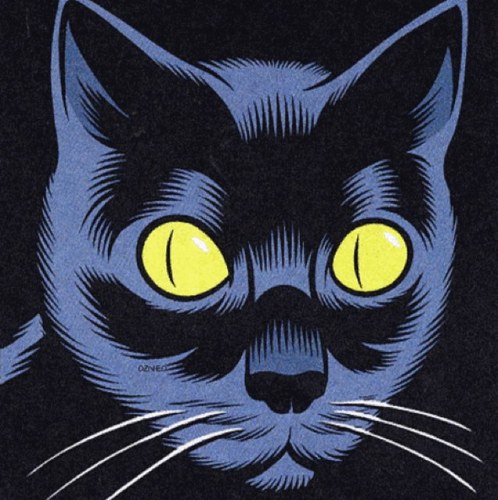 lightning3500's profile picture. 自分の感受性くらい、 自分で守れ ばかものよ