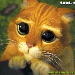 dlehdgml1567's profile picture. 이제 30대. 진보. 남의말잘안들음.농구.베어스.맨유