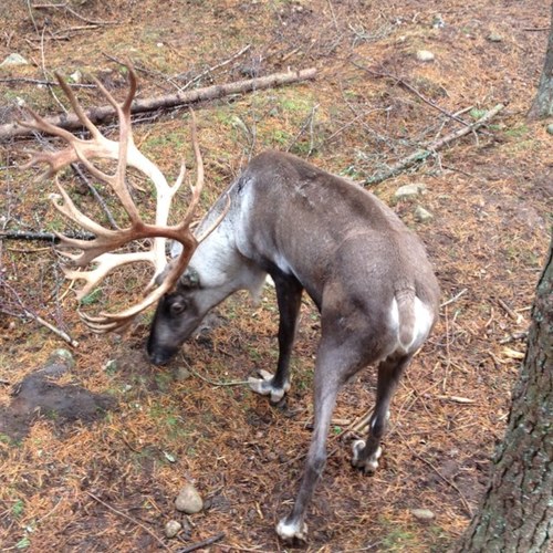 lowe_donald's profile picture. 