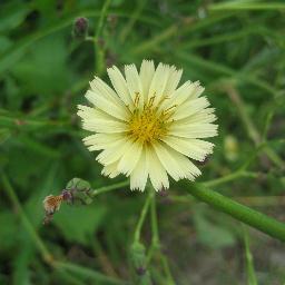 直感を信じる・偽善者をやめた/虎に翼・光る君へ/毎日味噌汁