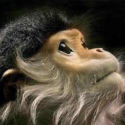 bilimsanat's profile picture. There is no pain more inconvenient than ignorance 👽