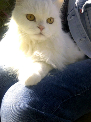 diva_ley's profile picture. #metalhead #hardrock