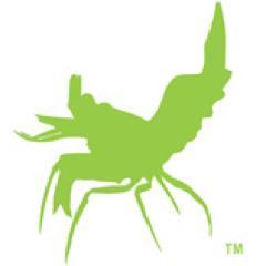 The Official Site for Thor Amboinensis AKA Sexy Shrimp