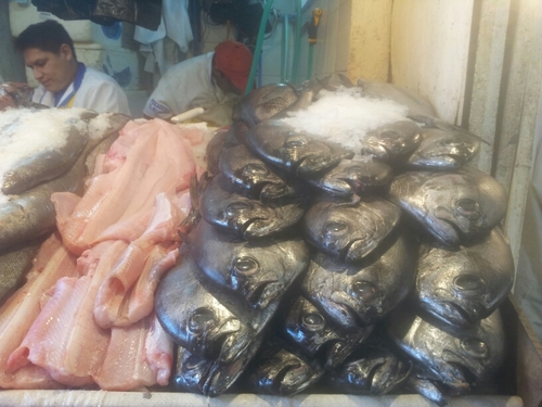 a_cotrina's profile picture. mercado central