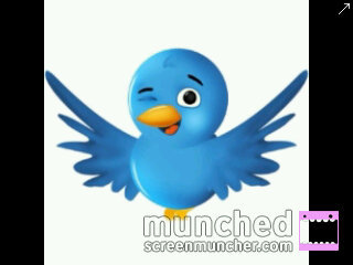 Follow for follow!