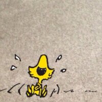 junjun (@junjun36491261) 's Twitter Profile