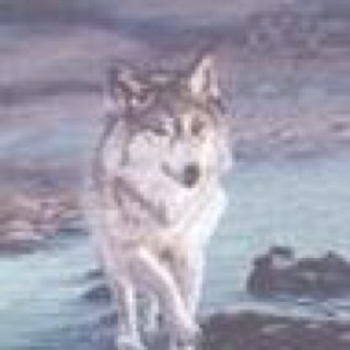 AliGolen's profile picture. 