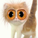 renee hood - @rebomesa1 - Twitter