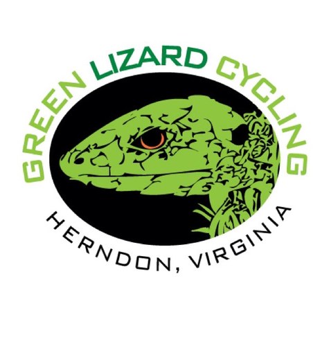 green lizard cycling