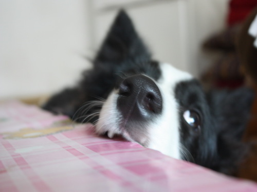 mqkakui's profile picture. 