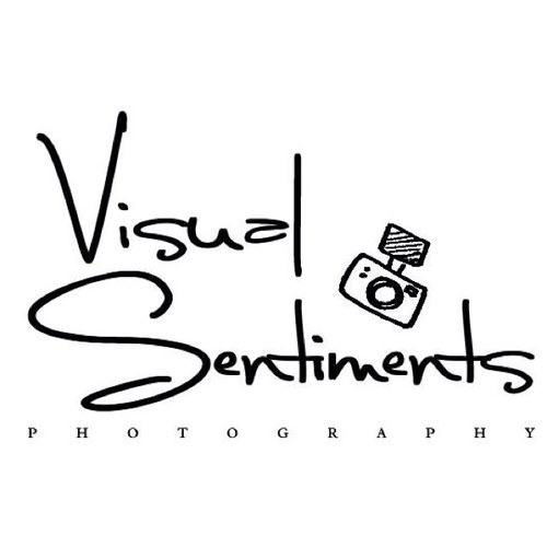 visualsntimnts's profile picture. 