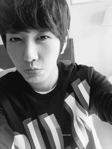 90 lines|block b member|life must go on