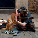 mijung KIM - @emir_mijung - Twitter