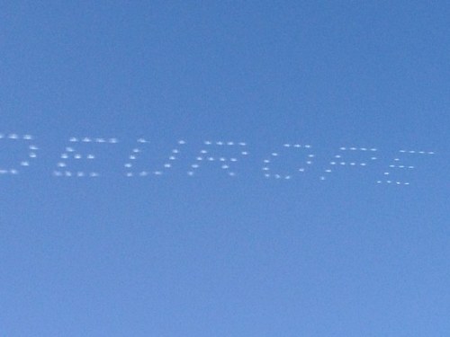 Howdyadu's profile picture. 