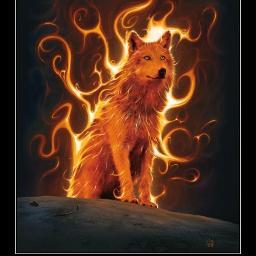 DPR2021's profile picture. 