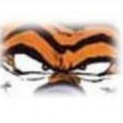 nunocinacio's profile picture. 