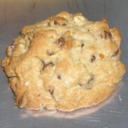SeattleSix's profile picture. I'm a GIRL cookie!  A ginormous chocolate chip walnut cookie ... 

Without Passion ... We'd Be Truly Dead
