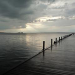 M5Dot's profile picture. 