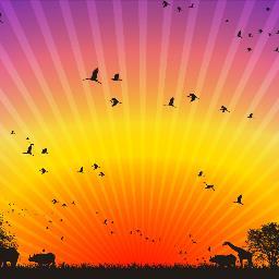 serentynow's profile picture. Nobody can go back and start a new beginning, but anyone can start today and make a new ending..