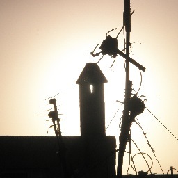 Caucab's profile picture. Just as people have a legal and moral responsibility to obey just laws, one has a moral responsibility to disobey unjust laws.