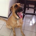 Desmond Cox - @cox_desmond - Twitter