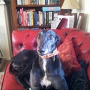 Kerry Tuck - @kerrytuck - Twitter