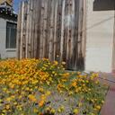 Donna Butcher - @Starrchild45 - Twitter