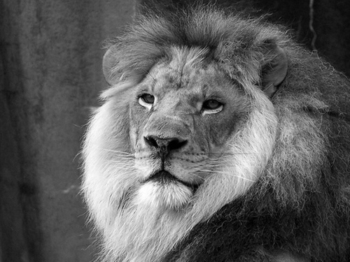 Ricardo_SG95's profile picture. 