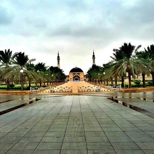 طالب جامعي