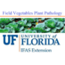 Field & Veg UF ppath (@fieldvegetables) Twitter profile photo Field & Veg UF ppath (@fieldvegetables) Twitter profile photo