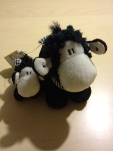 Black sheep!