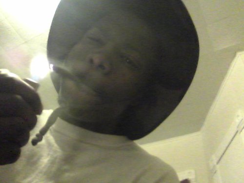paper chaser