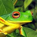 Арина - @DonnaRosa_R - Twitter