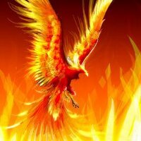 Mr Phoenyxx (@mrphoenyxx) 's Twitter Profile Photo