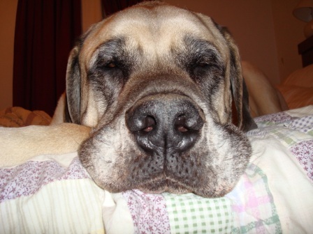 dominoseric's profile picture. poker, more than 2 cards preferred