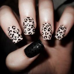 manicuredeliver's profile picture. Manicure, designer de sobrancelha e cabeleireira á domicílio.