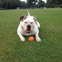 danny hoffmann - @danny_hoff - Twitter